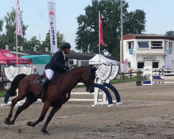 Video of Clearing 3