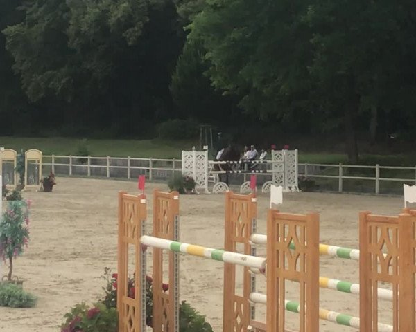 Video of Clearing 3