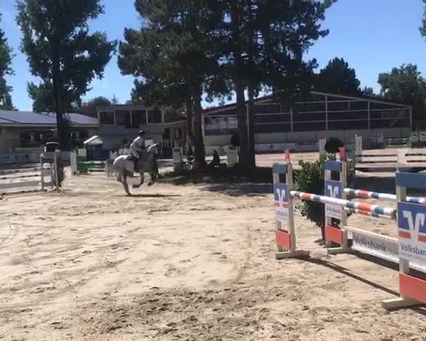 Video of Captain Jack D