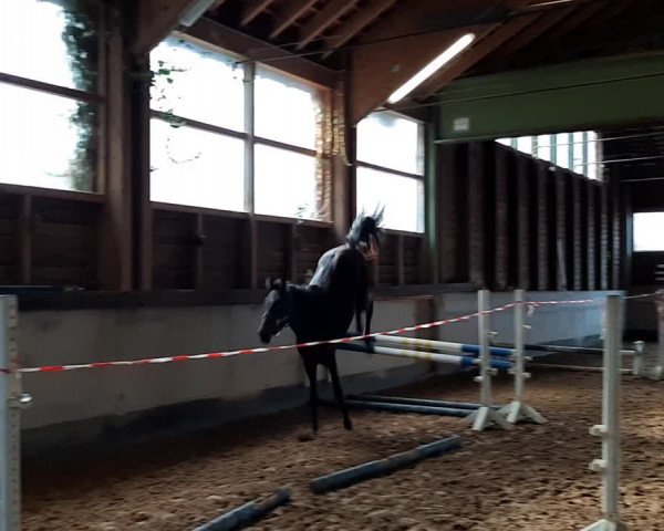 Video of Cool and Easy