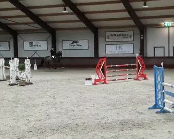 Video of Nevada van't Zand