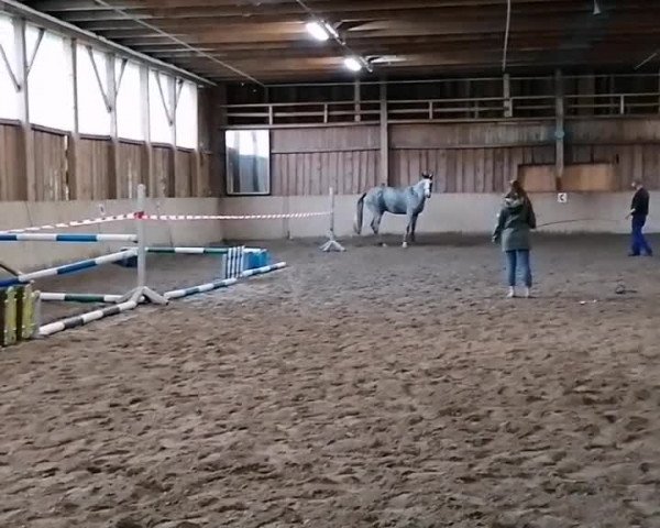 Video of Aurélie de la Pomme