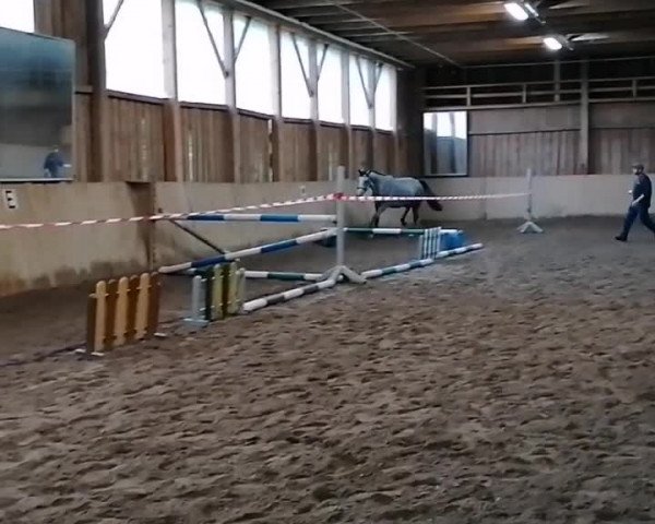 Video von Cachas