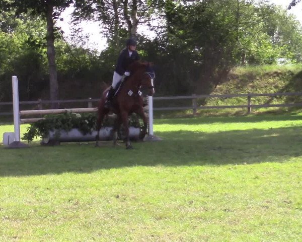 Reitturnier Filsum 2019