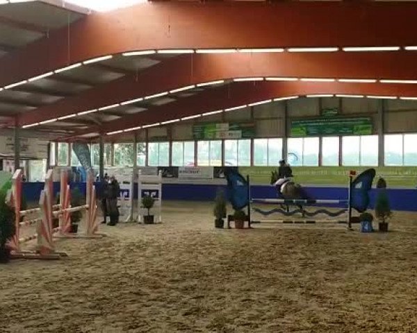 Video of Lemery