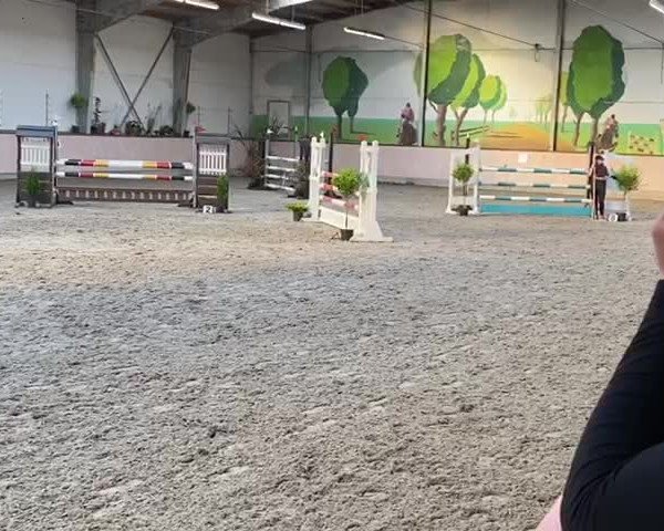 Reitturnier Brookmerland 2020