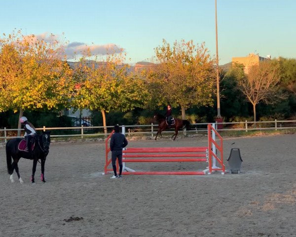 Video von Gea M