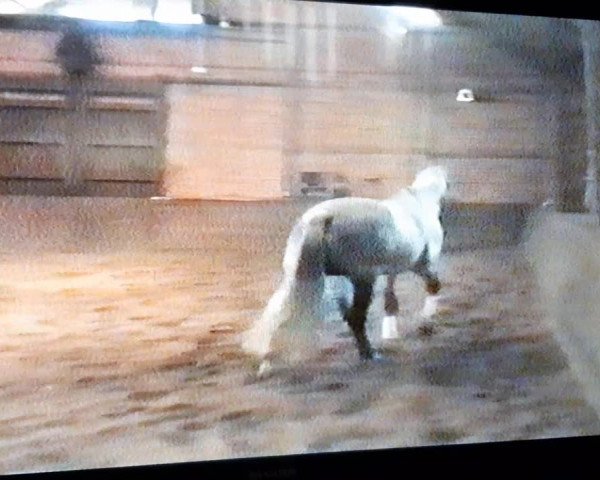 Video of Pygmalion