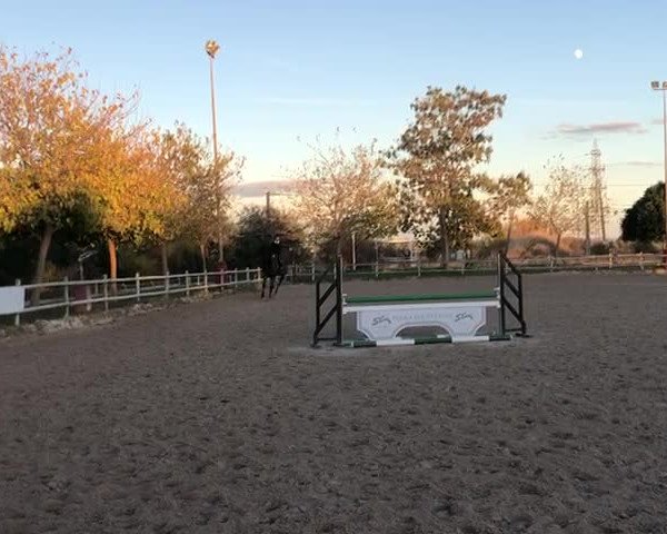 Video von Gea M