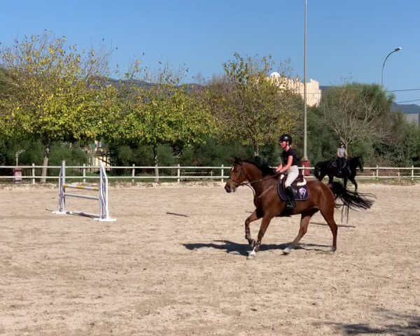 Video von Gea M