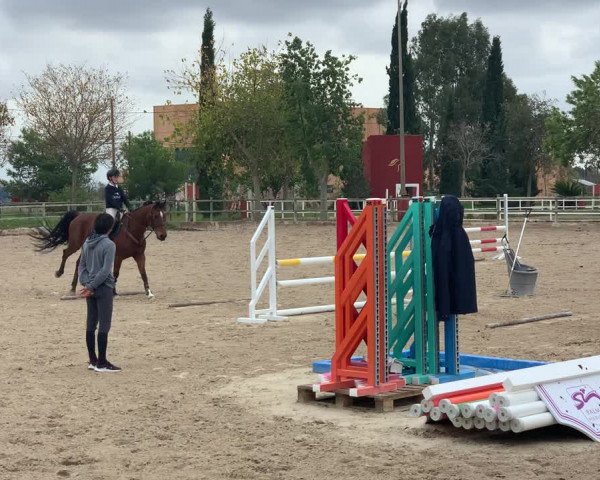 Video von Gea M