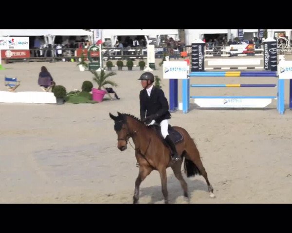 Video von Tasmania Champblanc