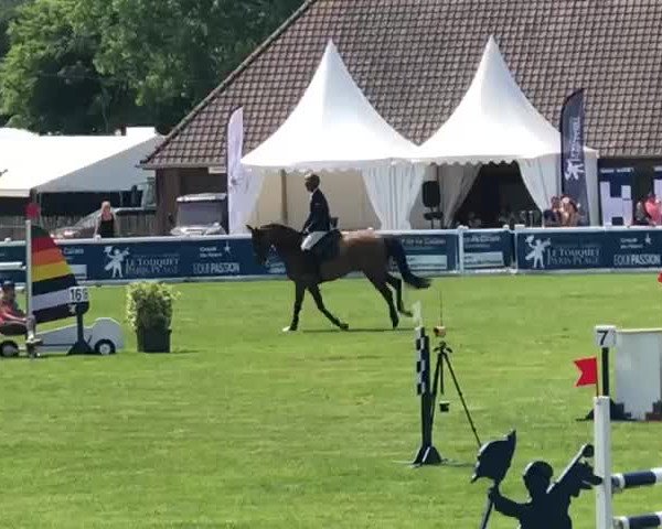 Video von Tasmania Champblanc