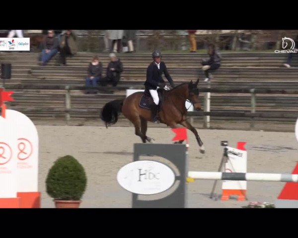 Video von Tasmania Champblanc