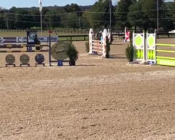 Video von Chigi Dn Z