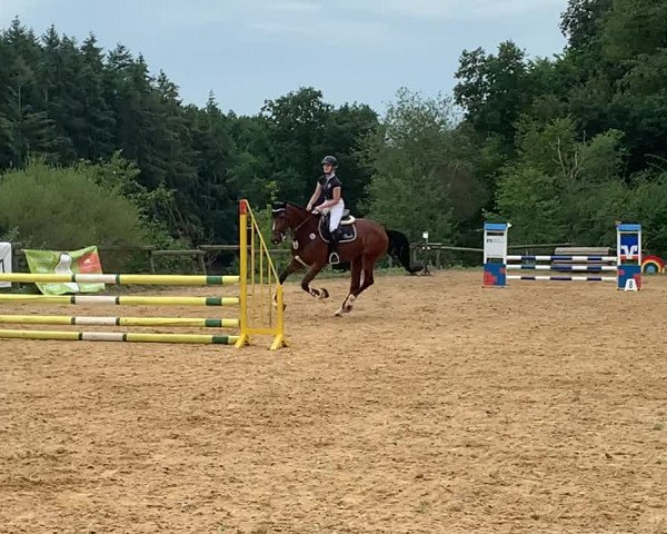 Reitturnier Mayen-Geisbüschhof 2020