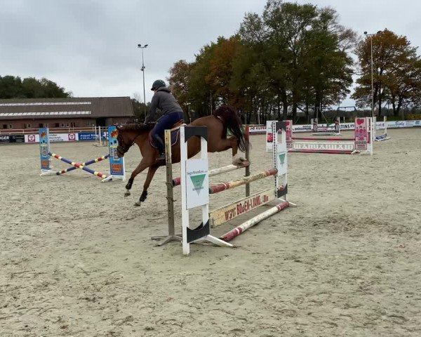 Video of Magic Cookie