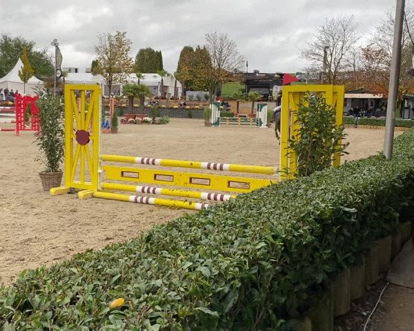 Reitturnier Wipperfürth-Kreuzberg 2020