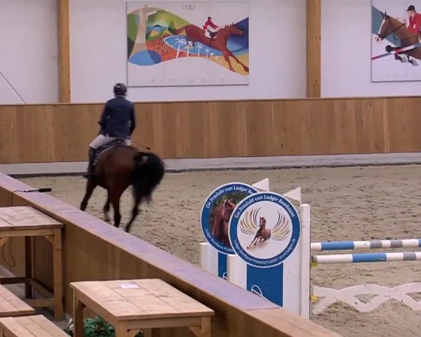 Reitturnier Riesenbeck 2020