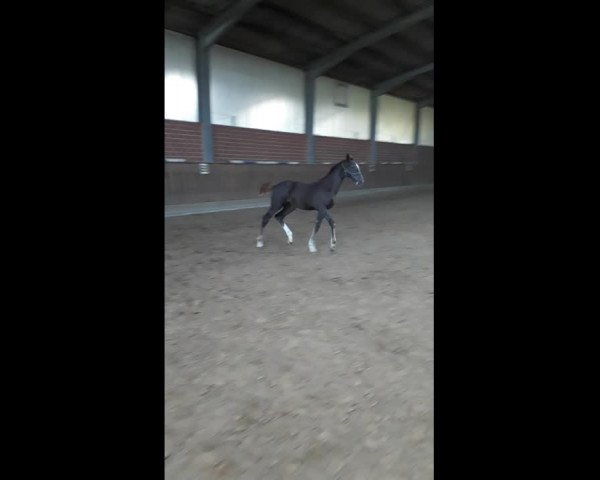 Video von Simone