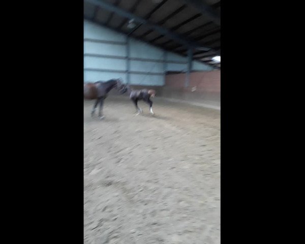 Video von Simone