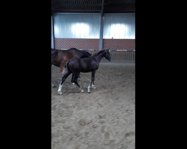 Video von Simone