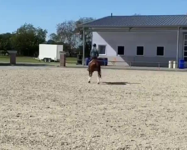 Video of Magic Cookie