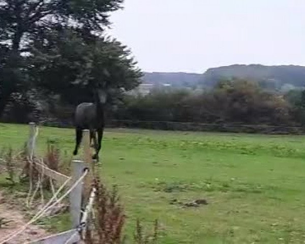 Video of Nono