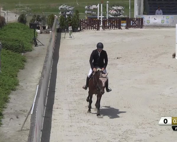 Video of Nikidam du Chateau