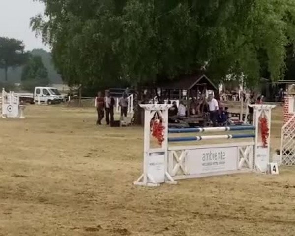 Video von Condengo