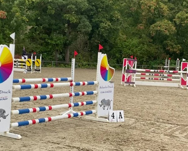 Reitturnier Fritzlar 2020