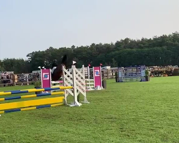 Video von Casachessa PS