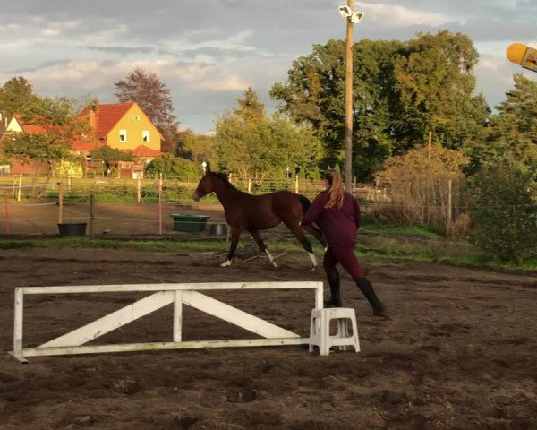 Video of Million Miracles BH