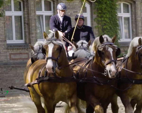 Video of leonetti, fuerto, lacordial, hip-hop, top-santano, flores-dream, harald, eral, eminenz, victory-27, humphrey, nordstern, aaro, augustus, al-concerto, dr-doolitle, chattanooga