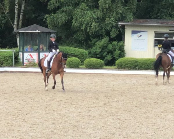 Reitturnier Kurtscheid 2020