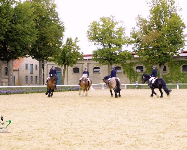 Online Paradeschaubilder 2020 - Thementag 1:
Rheinisch-Deutsches Kaltblut vor der Postkutsche & unter dem Sattel
https://www.rimondo.com/horse-list/538/Rheinisch-Deutsches-Kaltblut-vor-der-Postkutsche-unter-dem-Sattel