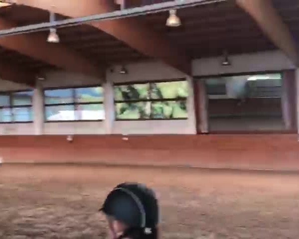 Video of Virag