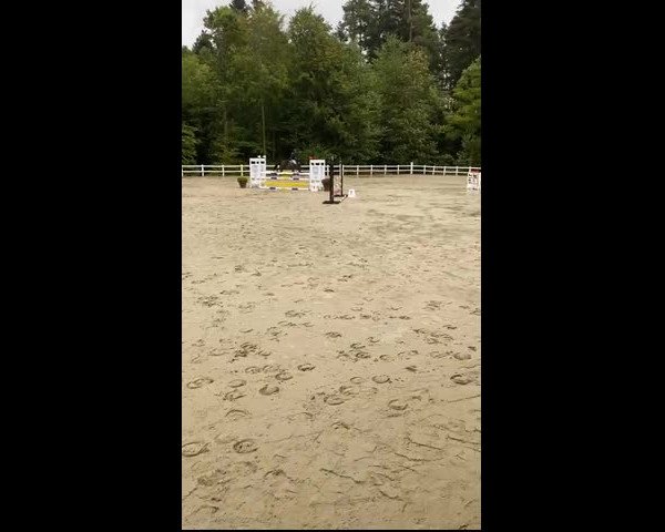 Video von Quasilano YG
