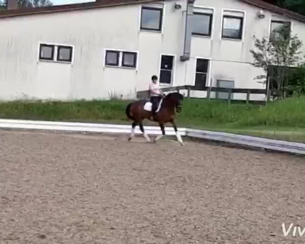 Video of Luke Skywalker 67