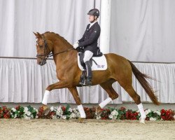 broodmare Valentina (Westphalian, 2012, from Vitalis)