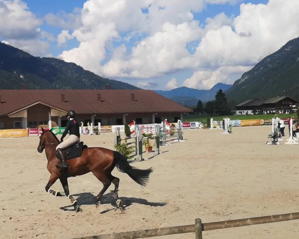 Video of Lesaro 2