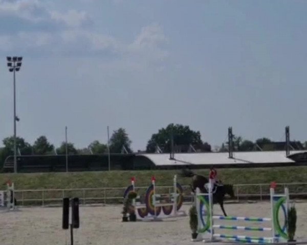 Reitturnier Verden 2020