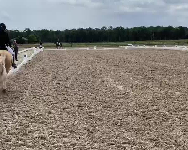 Video of Diamant