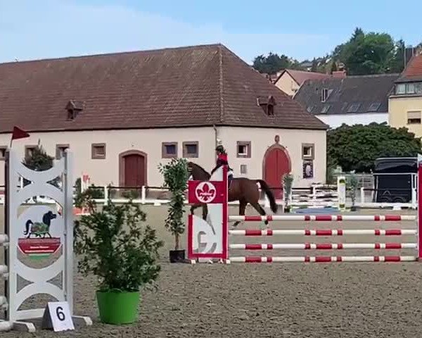 Video von Leopold Z