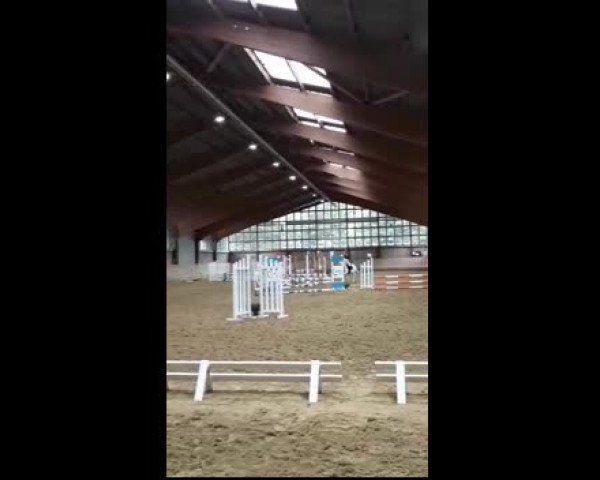 Video von Moritz Eydur
