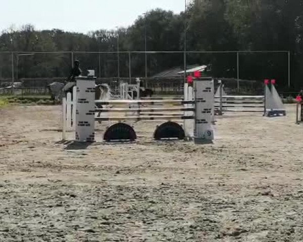 Reitturnier Straelen 2020