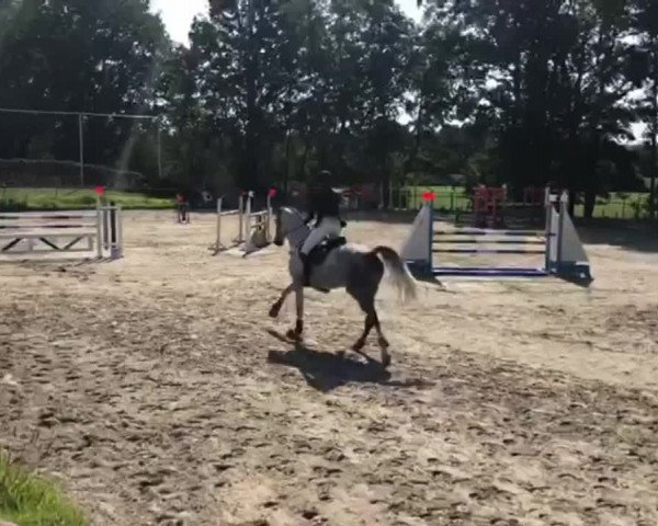 Reitturnier Straelen 2020