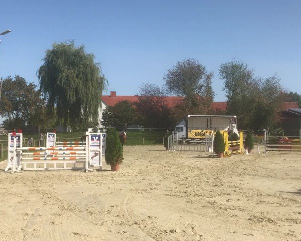 Reitturnier Laer 2020