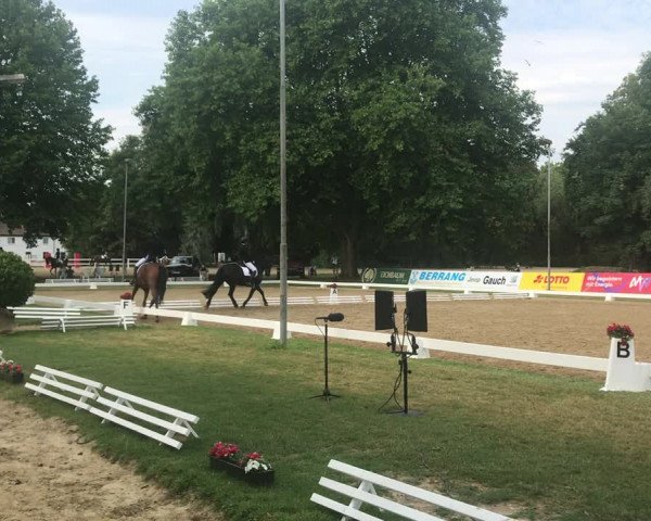 Video of Monyla V.d. Boezem