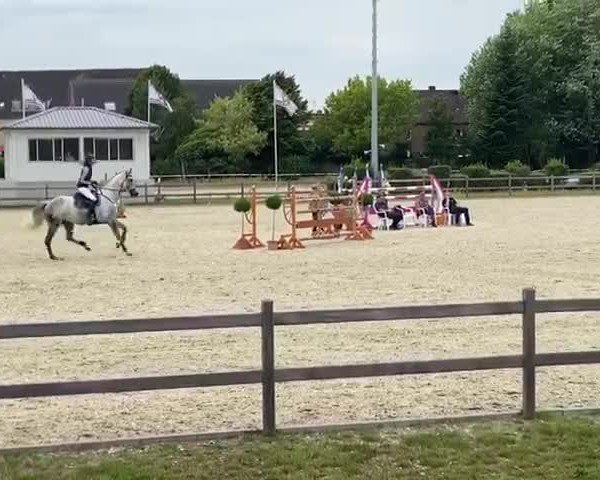 Video von Carcasonne 3